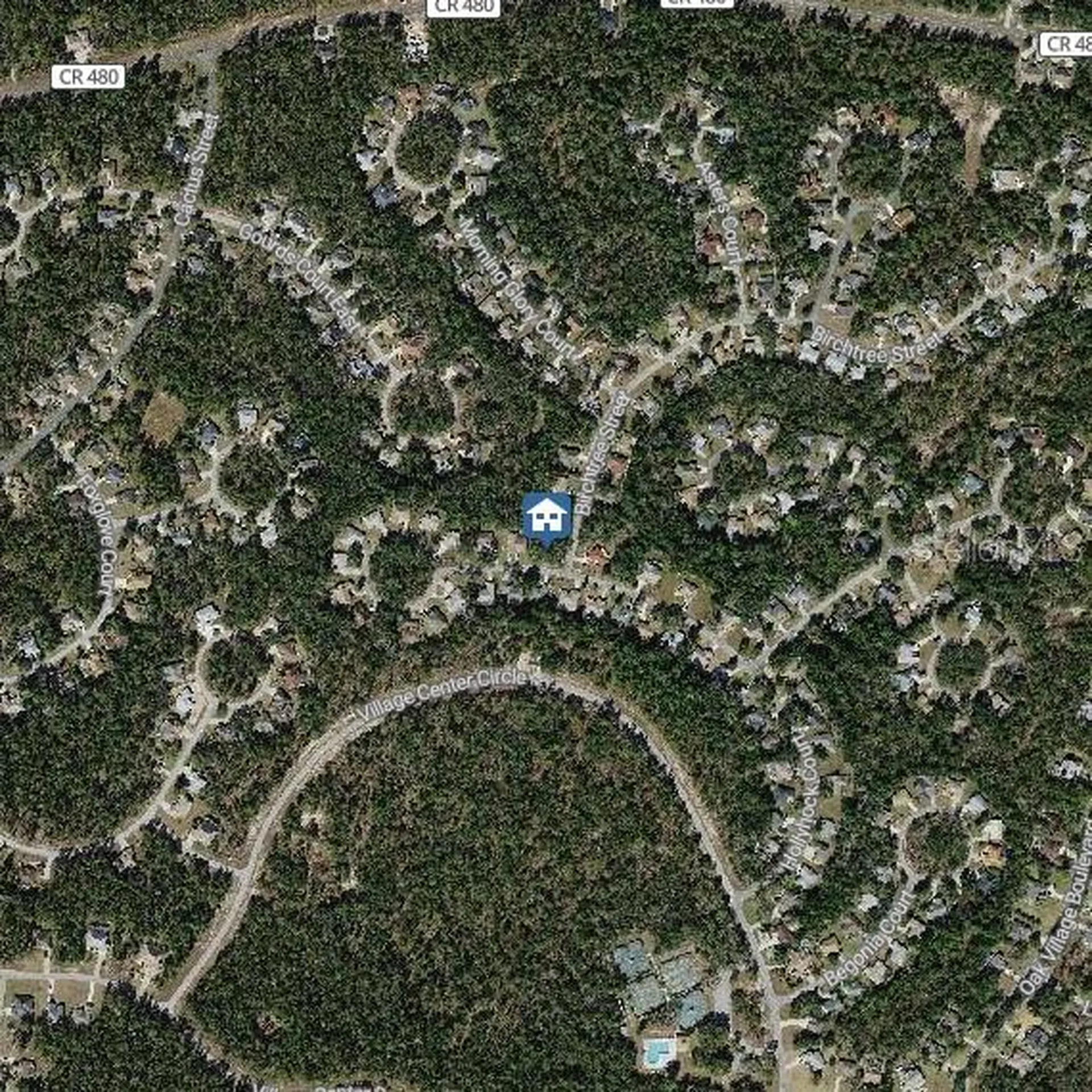 36 Hollyhock Court Homosassa FL 34446