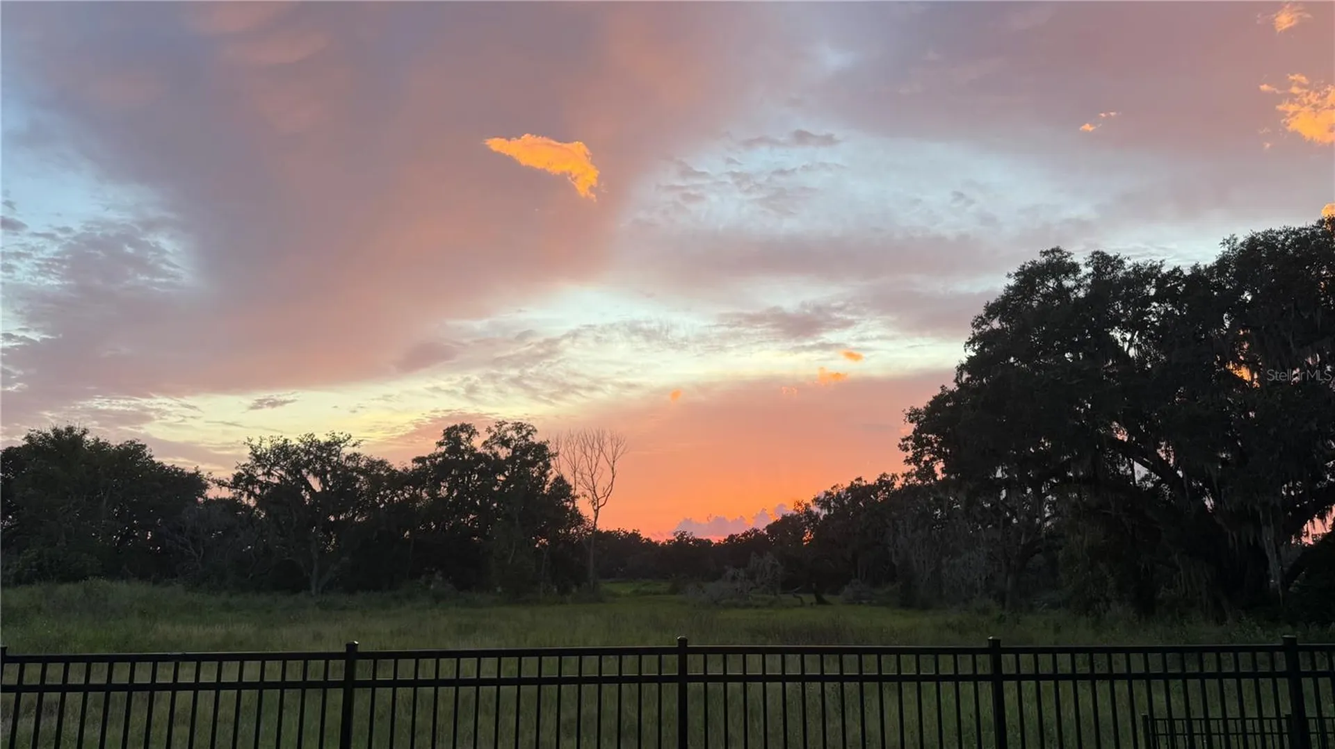 6773 Ripple Pond Loop Zephyrhills FL 33541