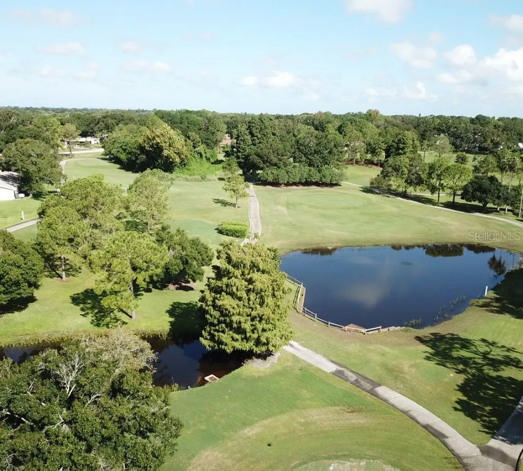 3957 Tarpon Pointe Circle Palm Harbor FL 34684