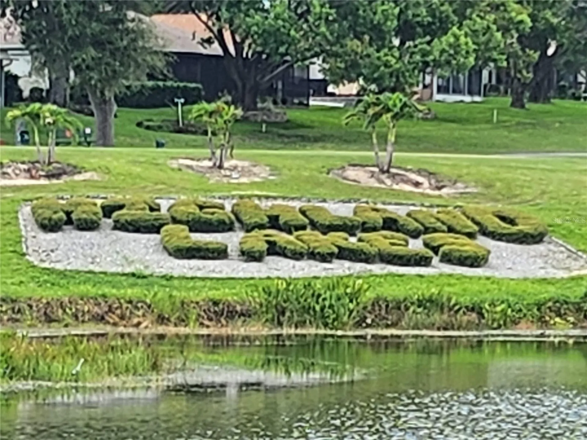 3957 Tarpon Pointe Circle Palm Harbor FL 34684