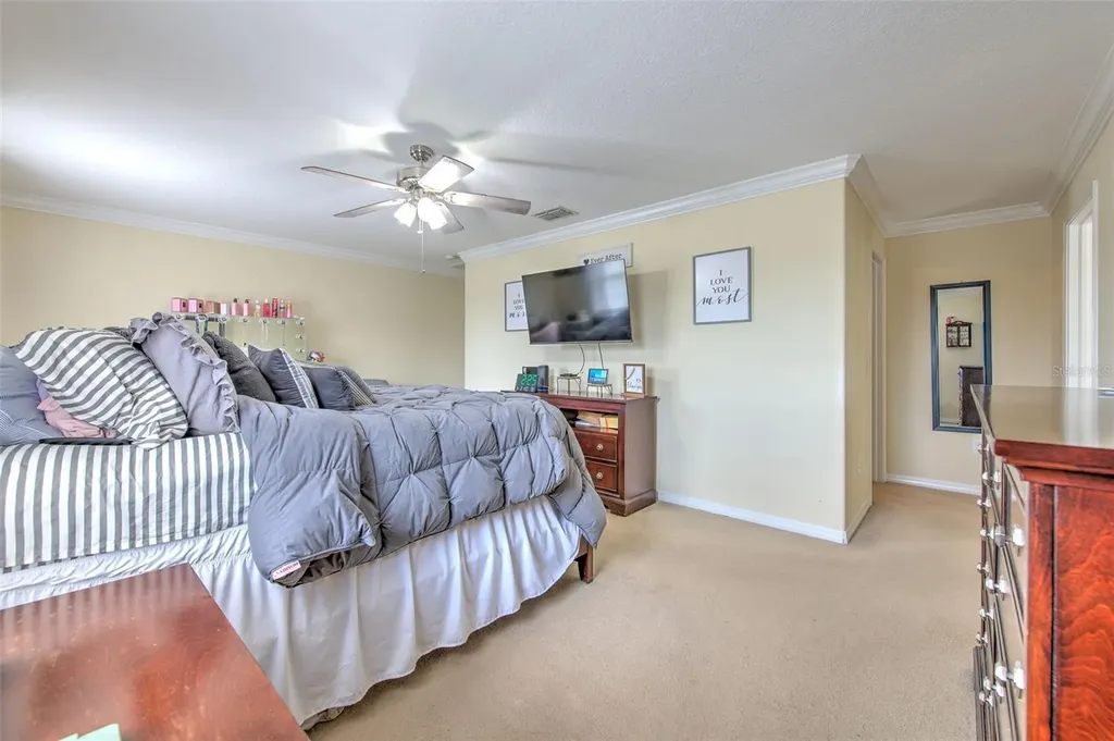 20223 Indian Rosewood Drive Tampa FL 33647