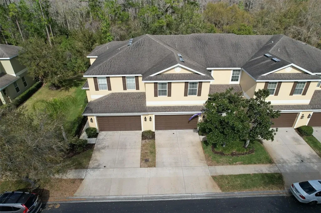 20223 Indian Rosewood Drive Tampa FL 33647
