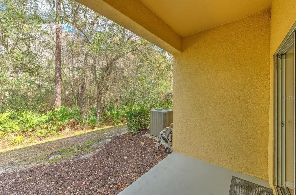 20223 Indian Rosewood Drive Tampa FL 33647