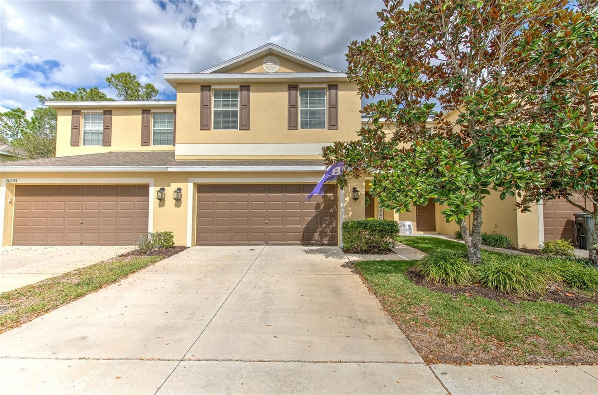 20223 Indian Rosewood Drive Tampa FL 33647