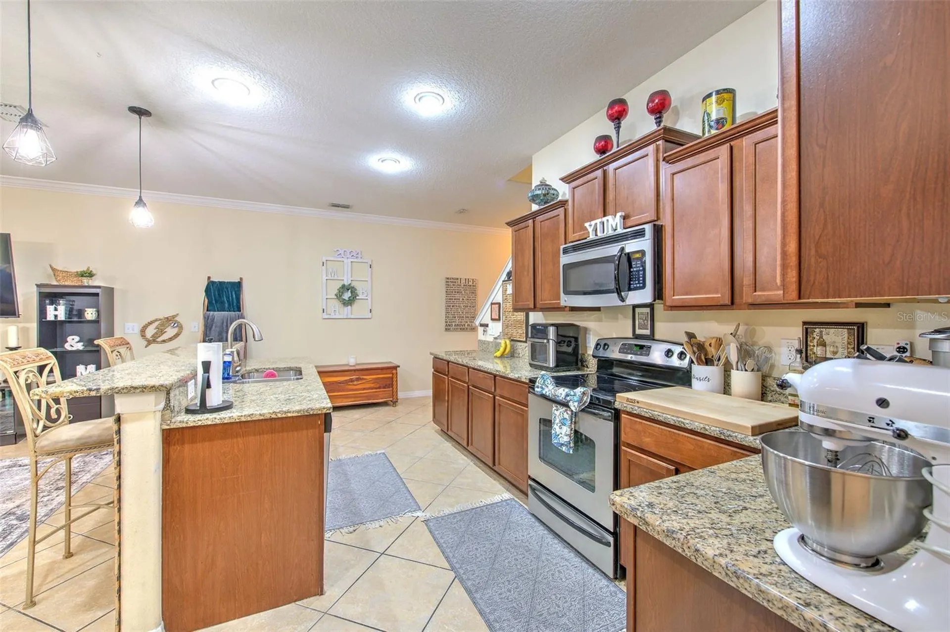 20223 Indian Rosewood Drive Tampa FL 33647