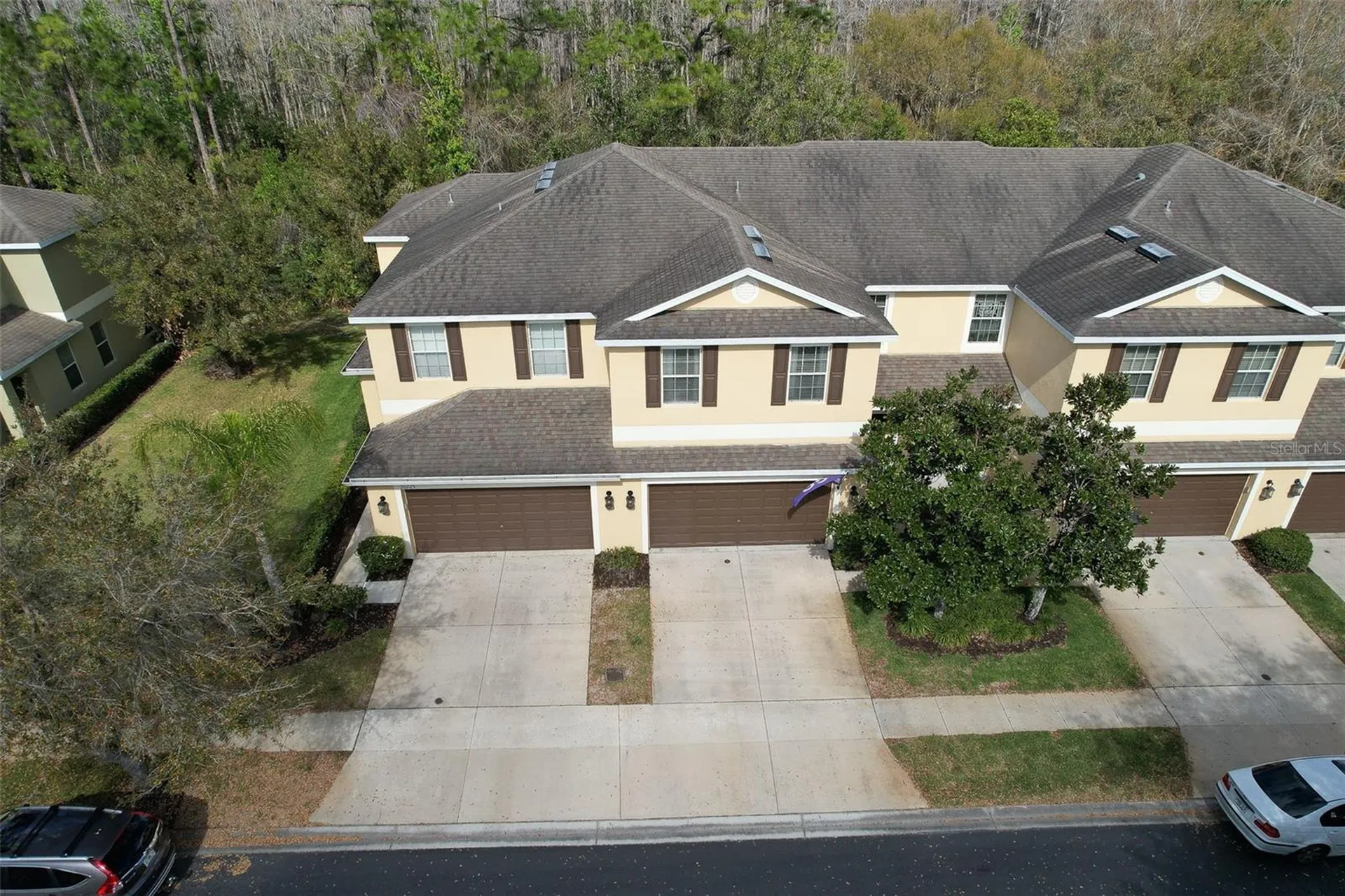 20223 Indian Rosewood Drive Tampa FL 33647