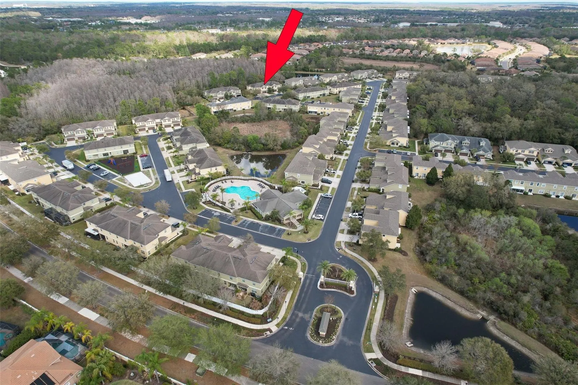 20223 Indian Rosewood Drive Tampa FL 33647