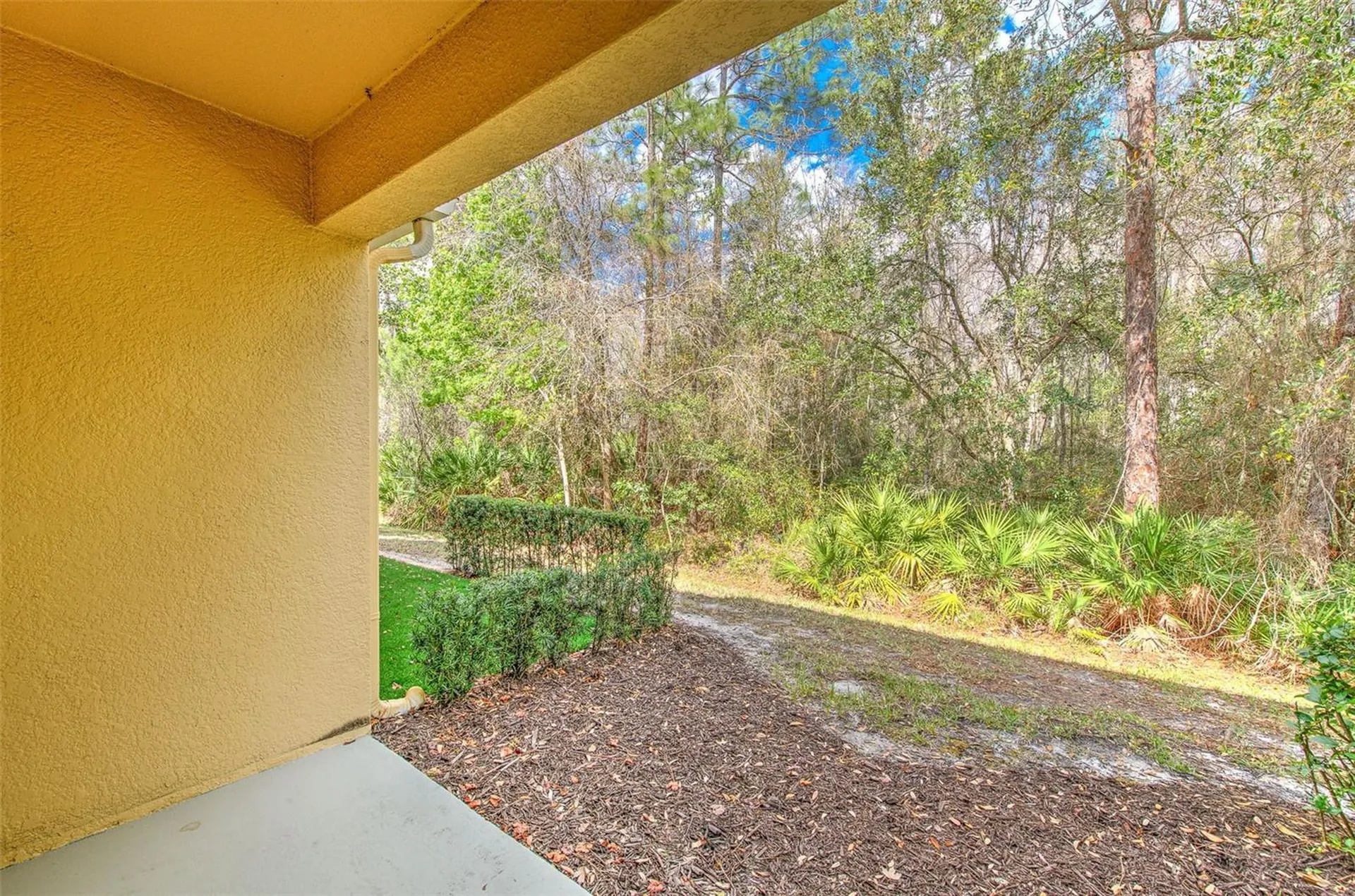 20223 Indian Rosewood Drive Tampa FL 33647