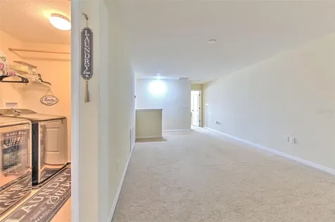20223 Indian Rosewood Drive Tampa FL 33647