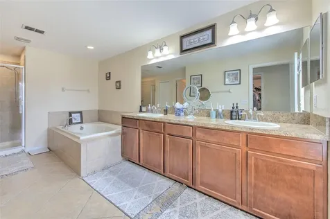20223 Indian Rosewood Drive Tampa FL 33647