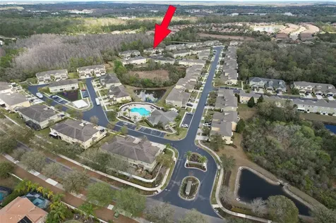 20223 Indian Rosewood Drive Tampa FL 33647