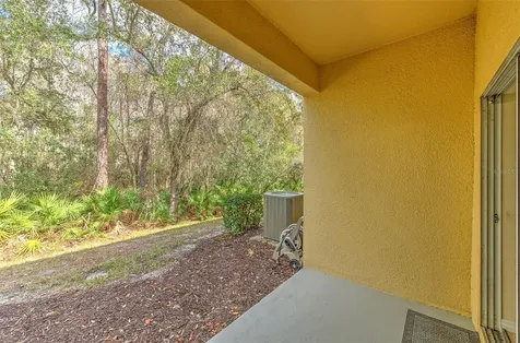 20223 Indian Rosewood Drive Tampa FL 33647