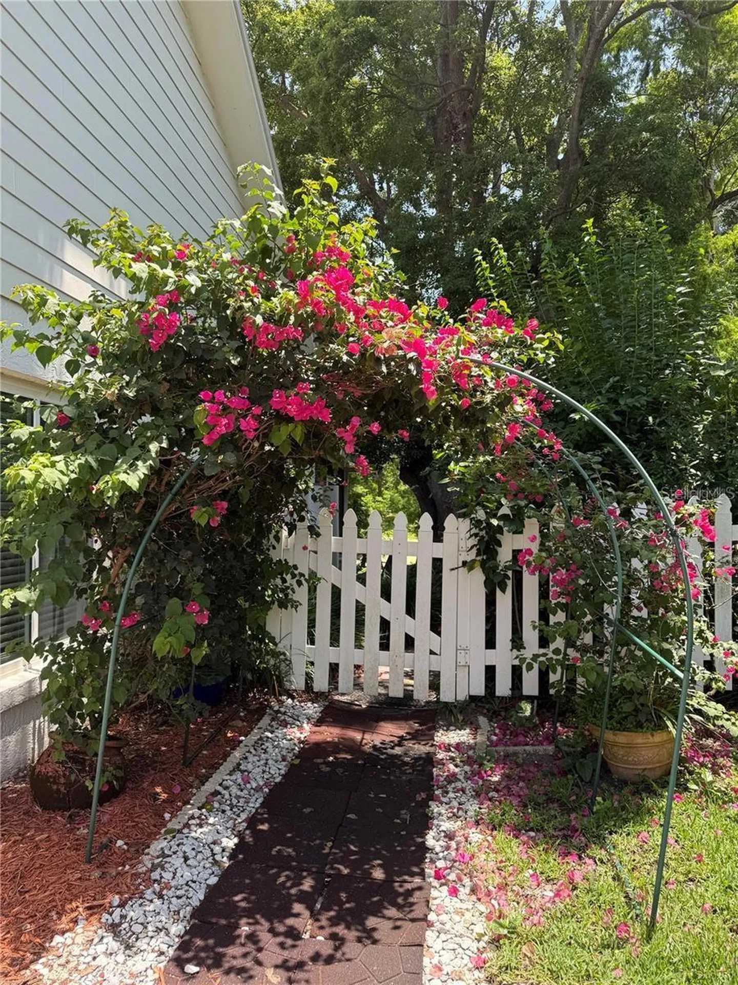 3411 Windy Wood Drive Orlando FL 32812