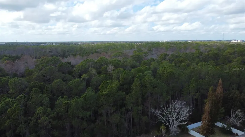 1902 Palmetto Pine Lane Orlando FL 32826