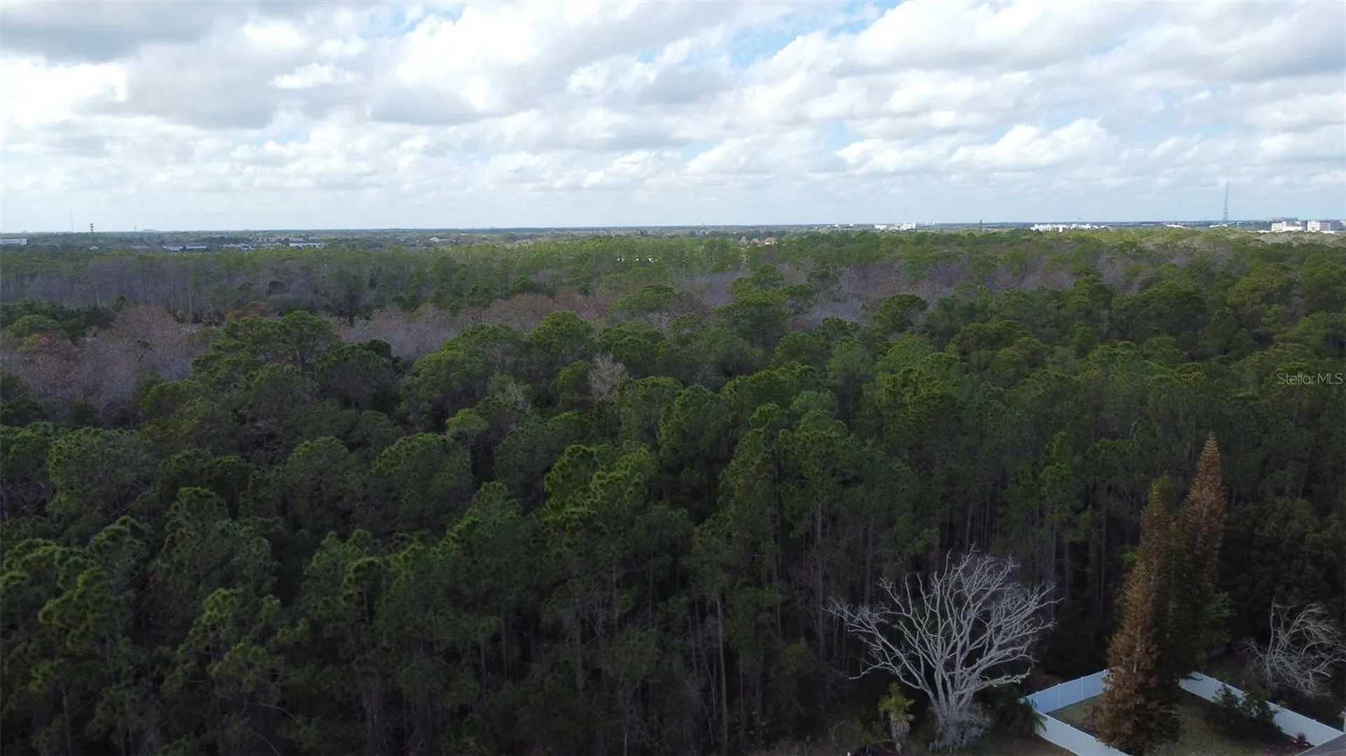1902 Palmetto Pine Lane Orlando FL 32826