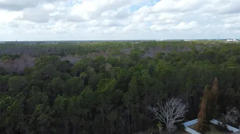 1902 Palmetto Pine Lane Orlando FL 32826