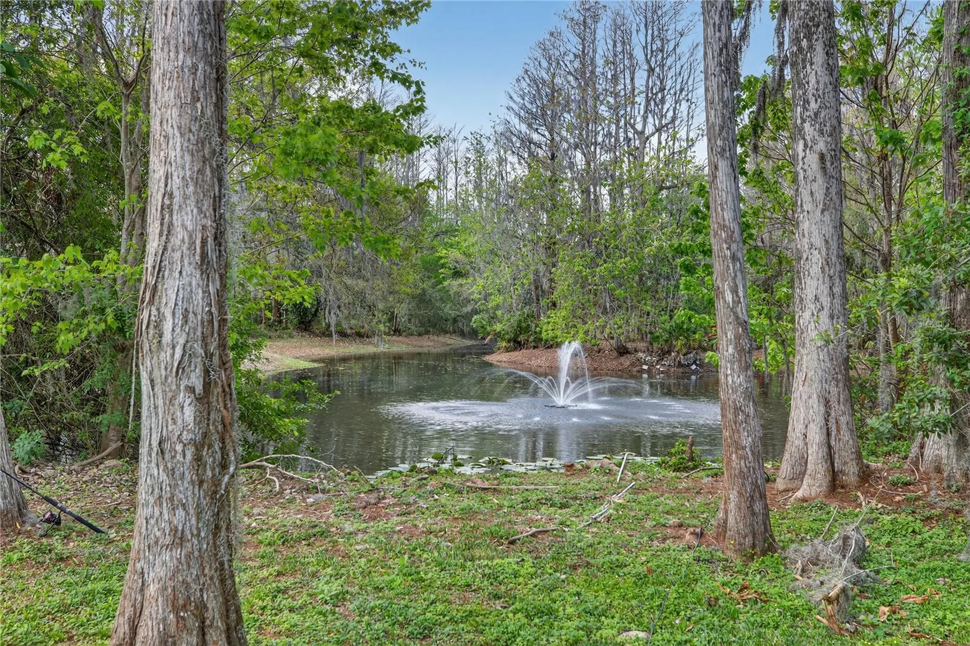 3663 Berger Road Lutz FL 33548
