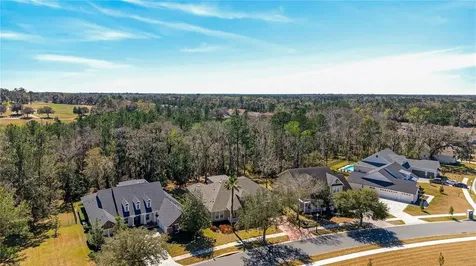 19502 Mossy Oak Court Brooksville FL 34601