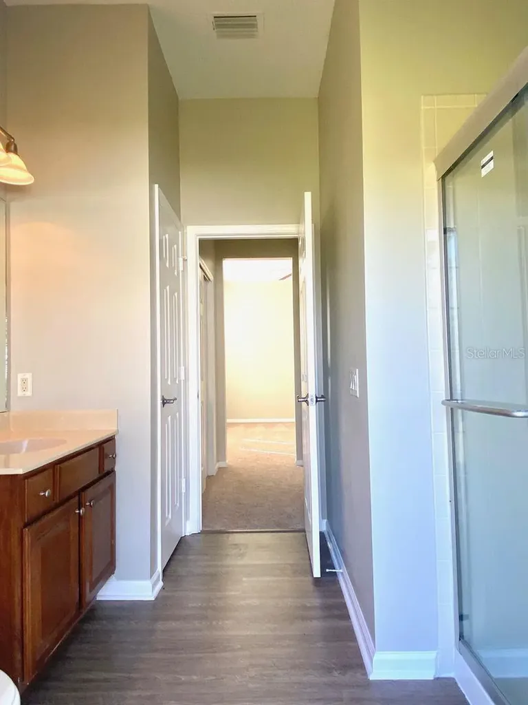 3711 Juneberry Drive Wesley Chapel FL 33543