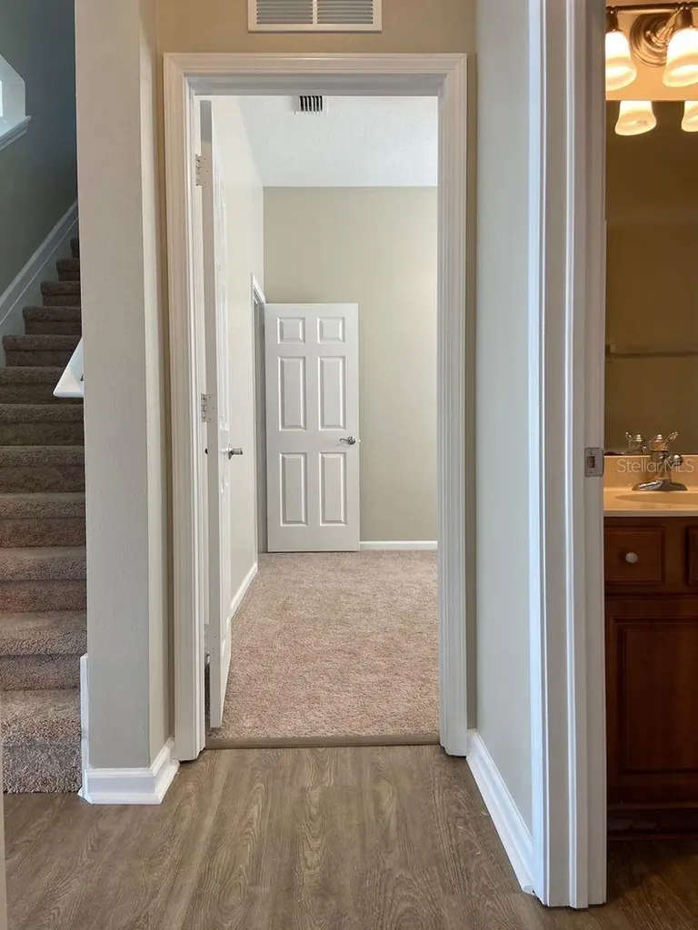 3711 Juneberry Drive Wesley Chapel FL 33543