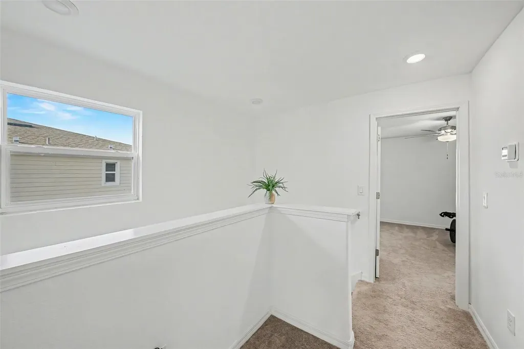 6269 Shiner Street Land O Lakes FL 34638