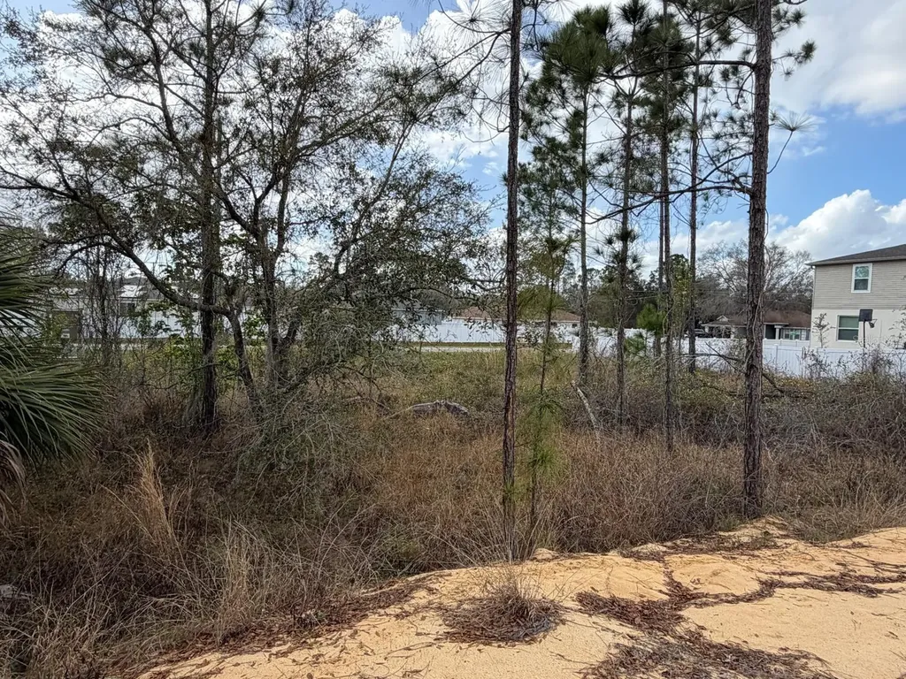202 Spoonbill Drive Poinciana FL 34759