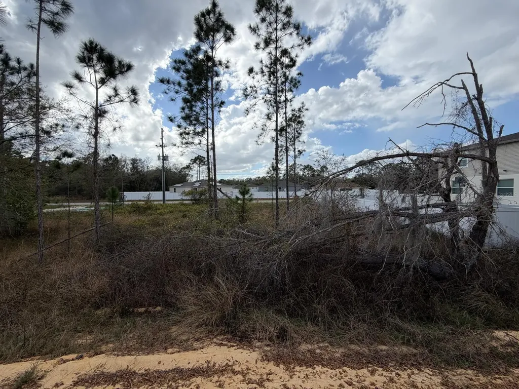 202 Spoonbill Drive Poinciana FL 34759