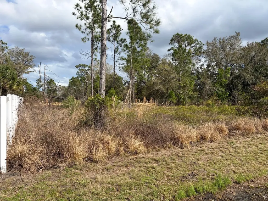 202 Spoonbill Drive Poinciana FL 34759