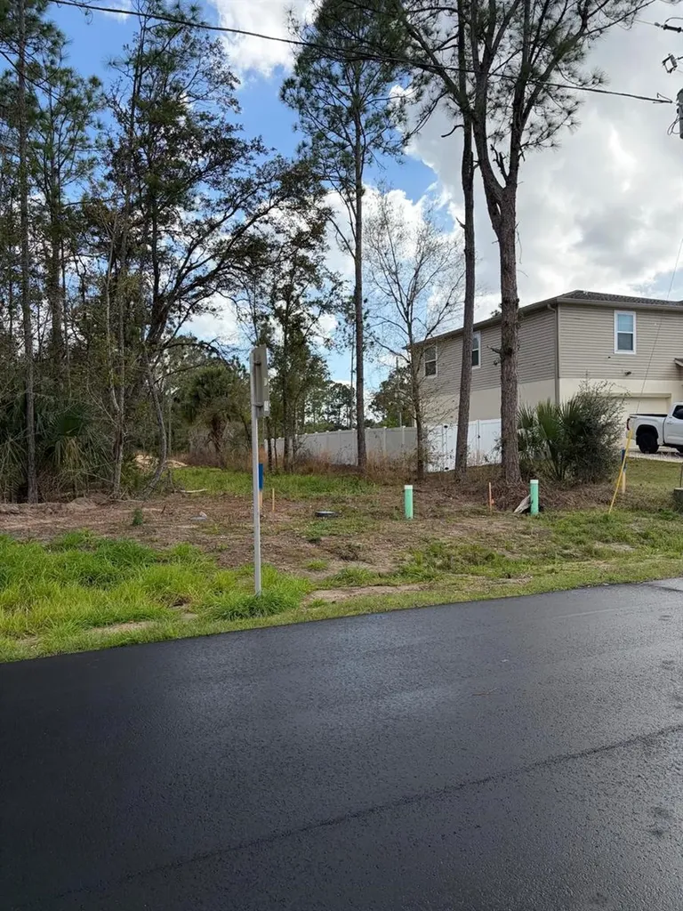 202 Spoonbill Drive Poinciana FL 34759