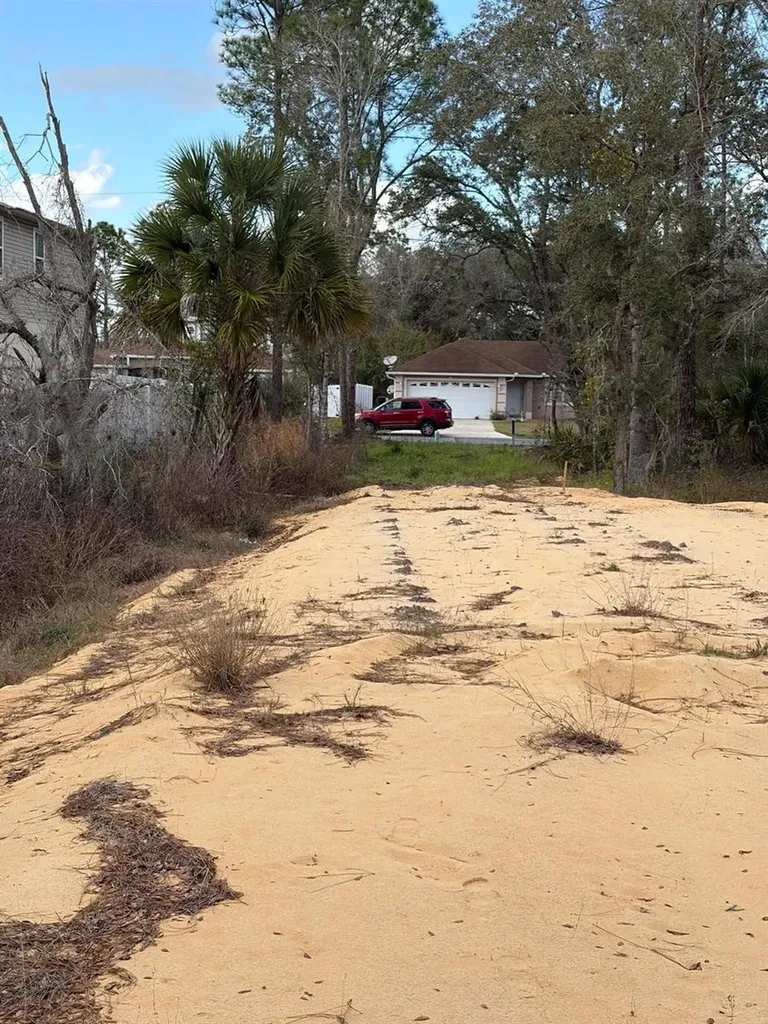 202 Spoonbill Drive Poinciana FL 34759