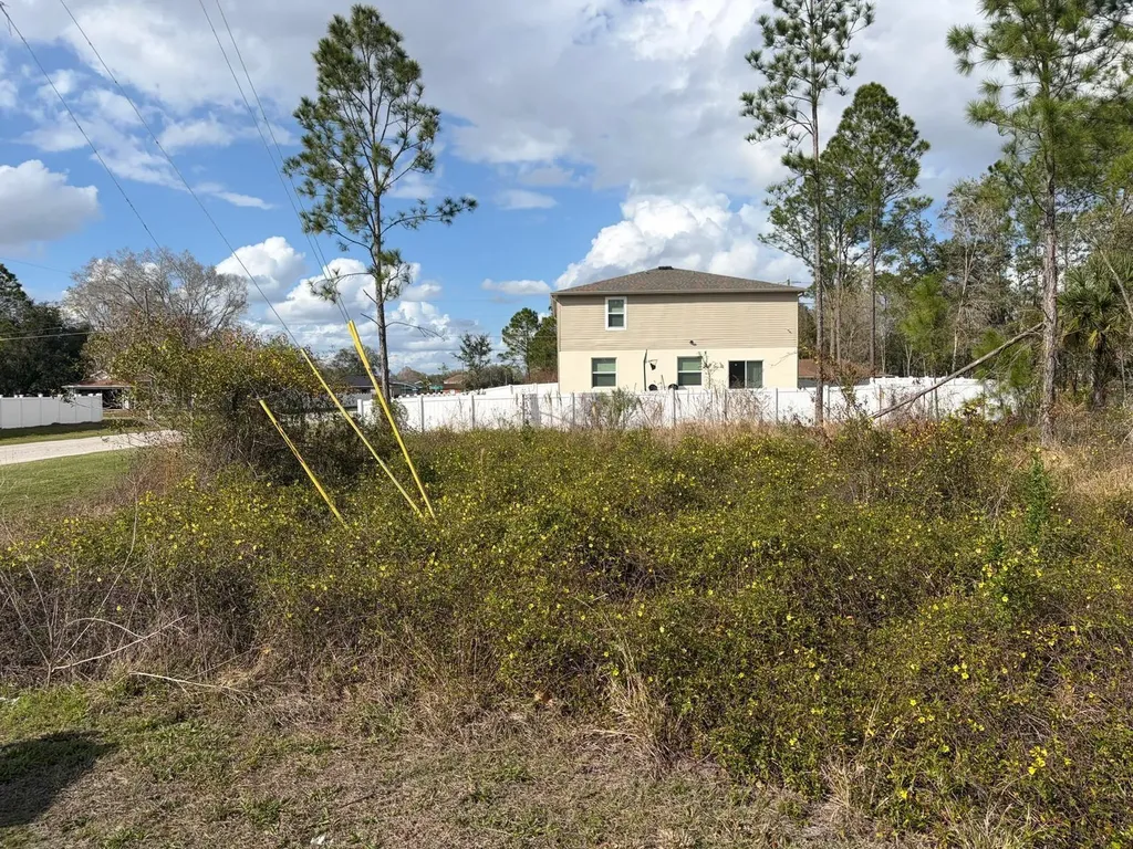 202 Spoonbill Drive Poinciana FL 34759