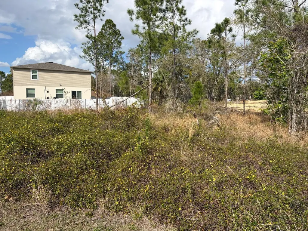 202 Spoonbill Drive Poinciana FL 34759