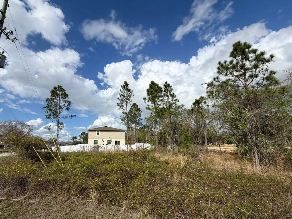 202 Spoonbill Drive Poinciana FL 34759