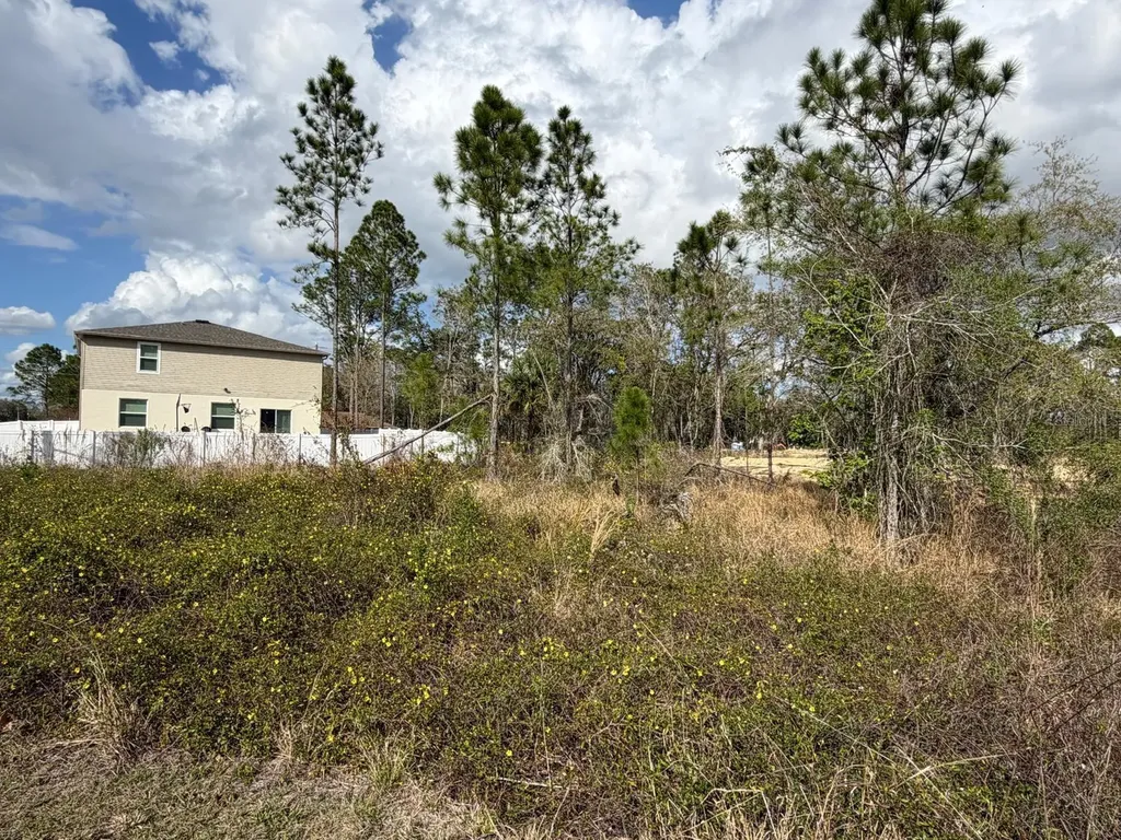 202 Spoonbill Drive Poinciana FL 34759