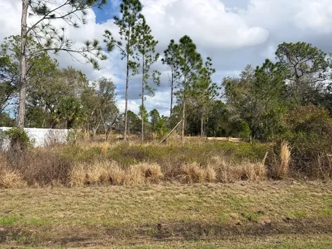202 Spoonbill Drive Poinciana FL 34759