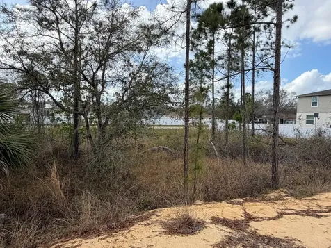 202 Spoonbill Drive Poinciana FL 34759