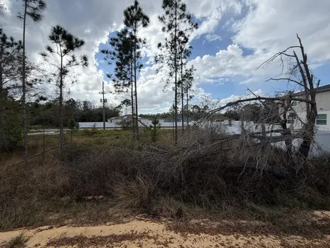 202 Spoonbill Drive Poinciana FL 34759