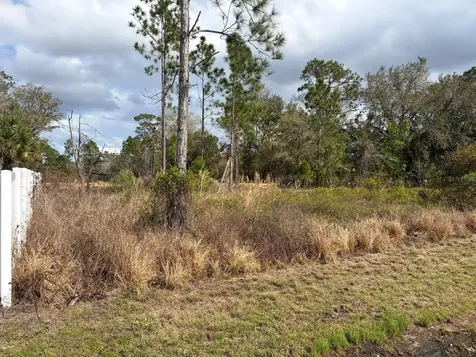 202 Spoonbill Drive Poinciana FL 34759