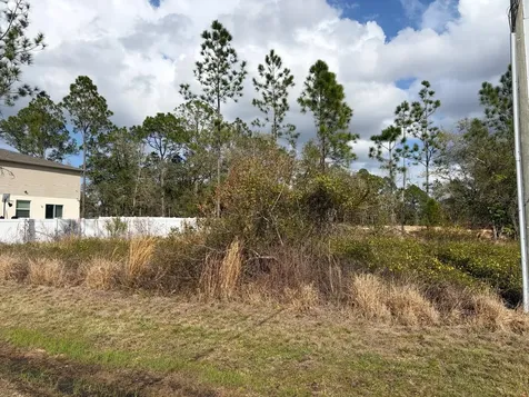 202 Spoonbill Drive Poinciana FL 34759