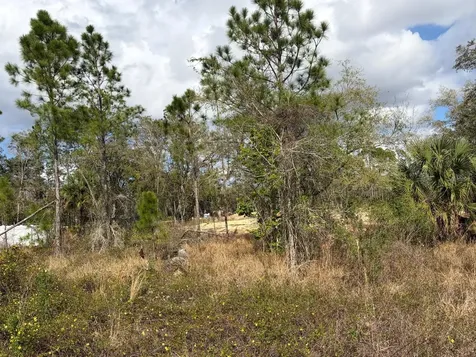 202 Spoonbill Drive Poinciana FL 34759