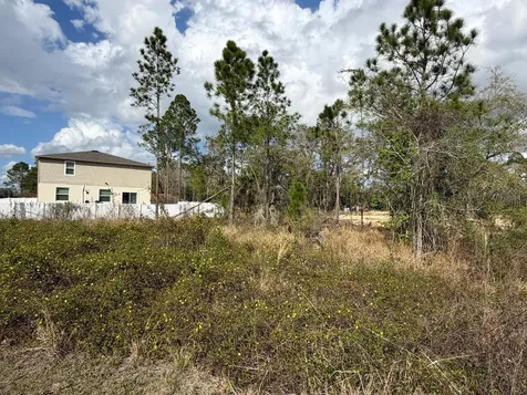 202 Spoonbill Drive Poinciana FL 34759