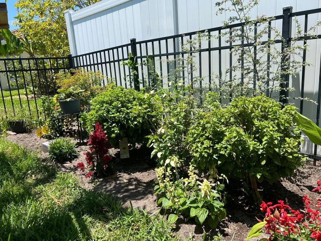 3892 Golden Knot Drive Kissimmee FL 34746