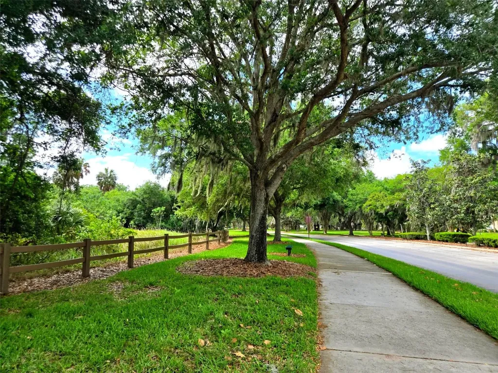 3892 Golden Knot Drive Kissimmee FL 34746