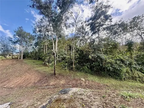 Bo Rincón Lomas Cayey PR 00736