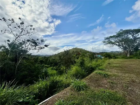 Bo Rincón Lomas Cayey PR 00736