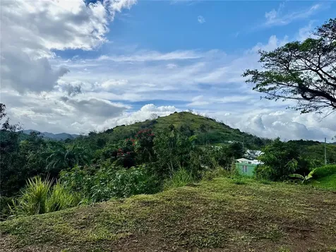 Bo Rincón Lomas Cayey PR 00736