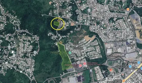 Bo Rincón Lomas Cayey PR 00736