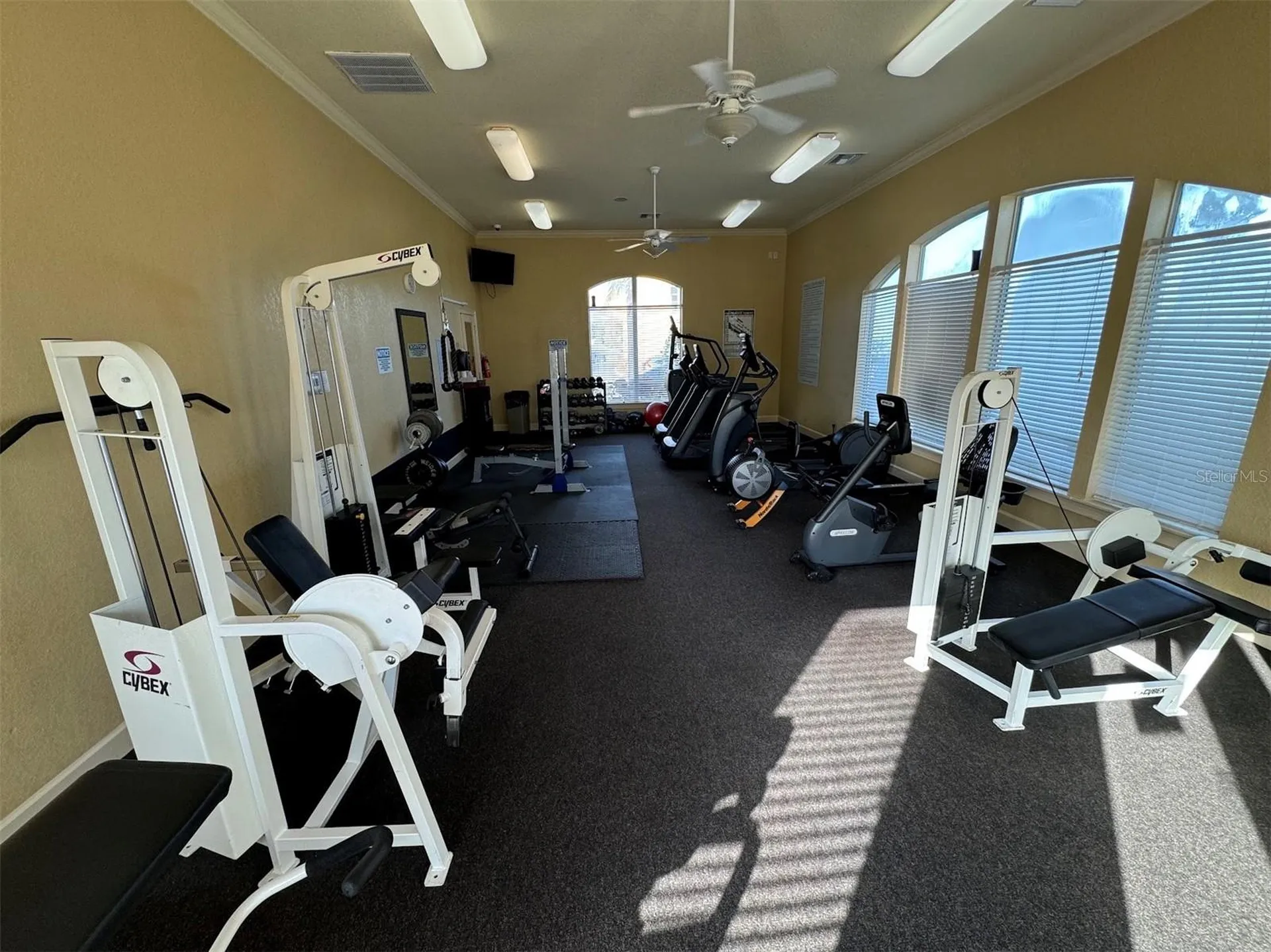 4305 Bayside Village Drive Tampa FL 33615