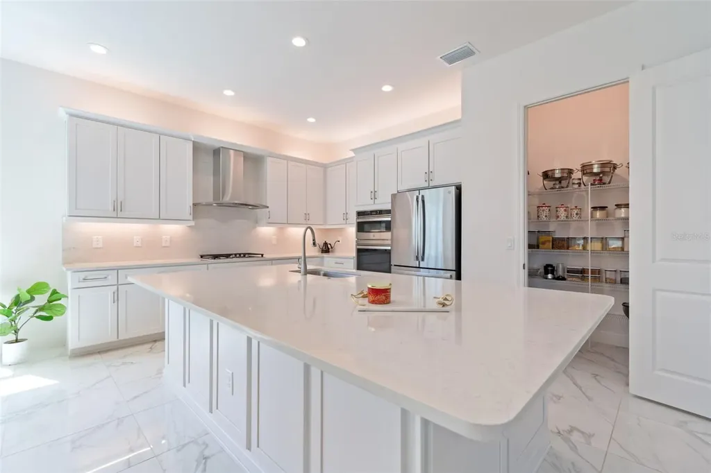 3416 Acacia Bay Avenue Wesley Chapel FL 33543