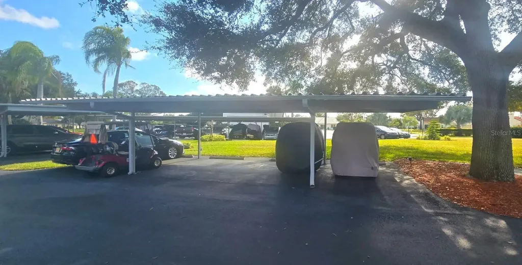1001 Tartan Drive Palm Harbor FL 34684
